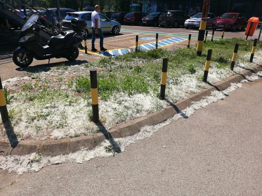 „МАЦЕ“ ОКУПИРАЛЕ СРБИЈУ Досадне су, улазе у нос, од њих кијамо, али оно што задаје ПРАВЕ МУКЕ тек следи: Ево ко хитно треба да почне са терапијом