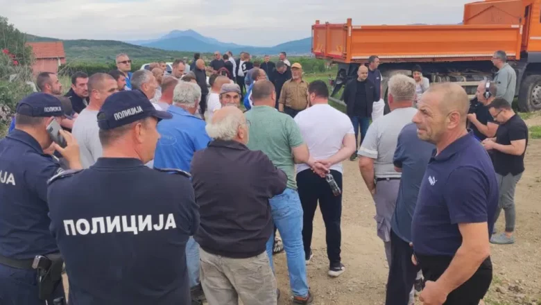 „Ово је еколошка бомба“: Протест због одлуке Града Ниша о локацији на којој се укопавају свиње угинуле од афричке куге