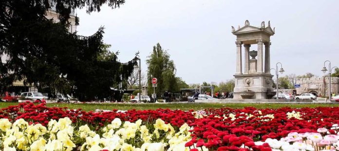 Рад јавних чесама на територији општине Медијана